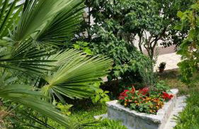 Apartment Gina - Photo 54