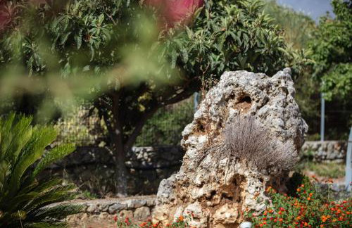 Villa Xagnado - Foto 37