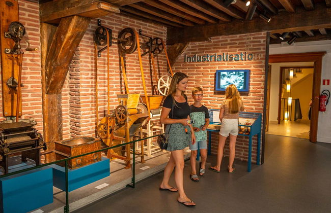 2 bedroom House in Nieuwvliet with terrace - Photo 31