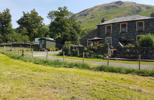 Shepherds hut Dolly wagon - Foto 18