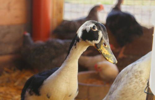 Hof von Felde - Foto 6