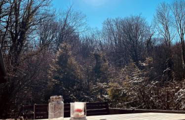 Ruhiges Häuschen am Wald mit Kamin, Terrasse - Foto 39