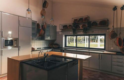 Vale Pisco - Photo 68