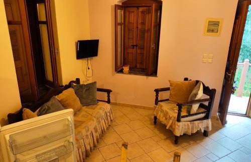 Giannis Gerakios apartments by climbing house - Photo 44