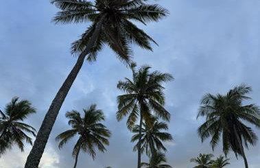 Luxuosa casa, a 150m da praia - Foto 43