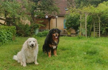 Les Girouteaux La bergerie - Photo 7