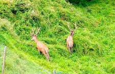 Cascina Del Galin - Foto 12