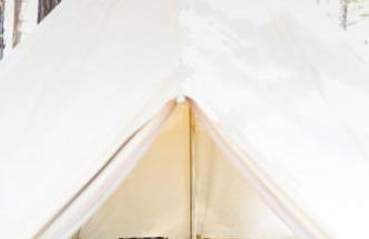 Monte da Tojeirinha - Foto 7