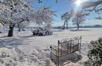 Moier-Hof LEX - Photo 18