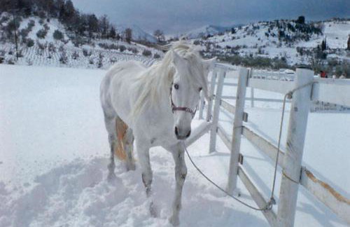 Ermis Katafigio - Photo 22