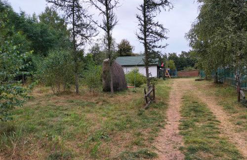 Leśna Chata kuracyjna nad rzeką z sauną w Borach Tucholskich - Foto 7