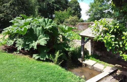 L'Orchidée - Photo 6