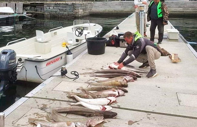 6 Person Holiday Home in Svelgen-by Traum - Foto 22