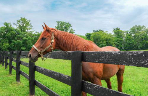 Hudson Valley Horse Farm Retreat in Salt Point - Foto 27