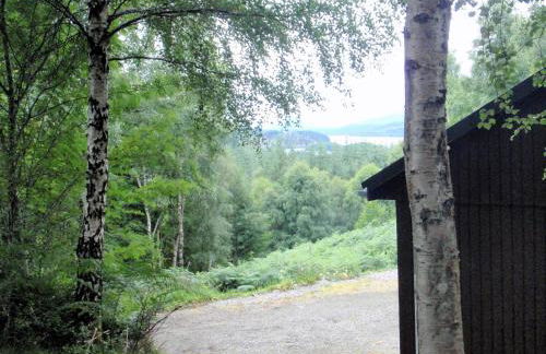 Faichemard Farm Chalets - Foto 7