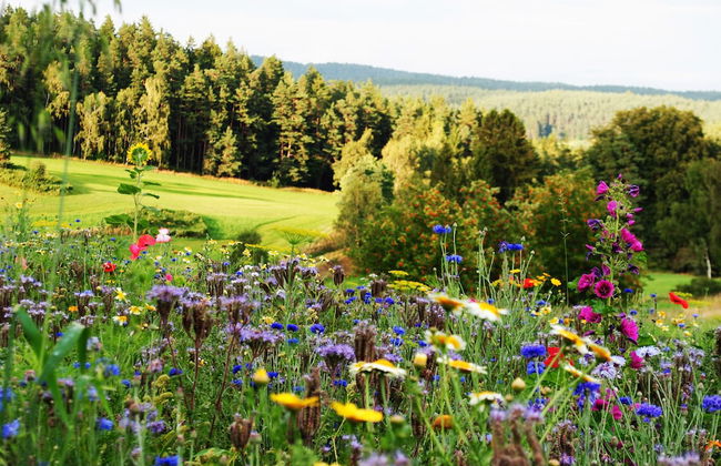 Ferienwohnung Familie Kappauf & Petrik - Foto 28