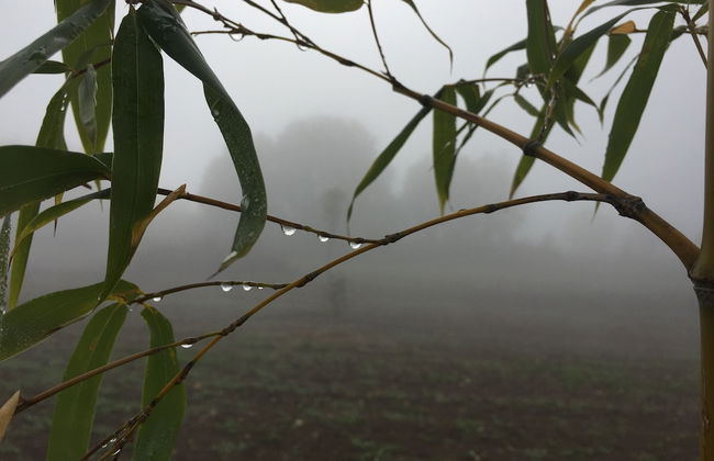 Agriturismo Podere Conte Ràcani - Foto 32