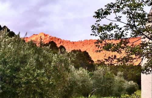 Casa Rural Cortijo La Ajedrea - Foto 48