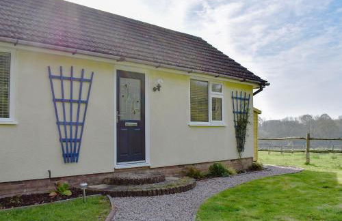 Woodpeckers - Foto 15