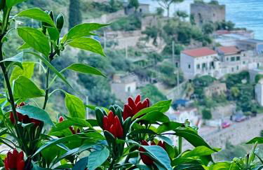 Villa Nina Amalfi - Photo 31