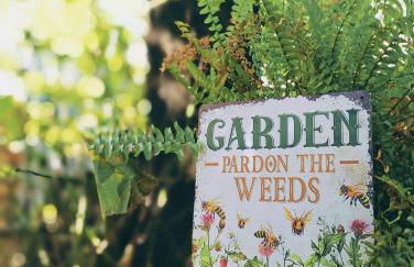 Villa Oliviana - Foto 26