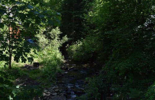 Duży drewniany domek nad rzeką, Obidza 381, Łącko - Foto 42