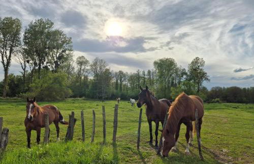 Le chalet du bord de Saône - Foto 43