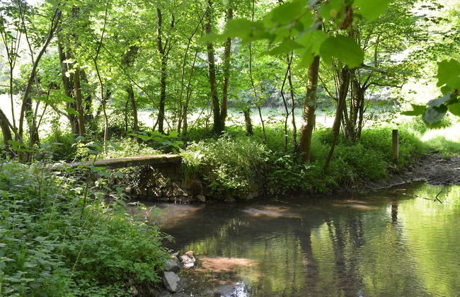 Family Retreat, Forested Anhee - Foto 38