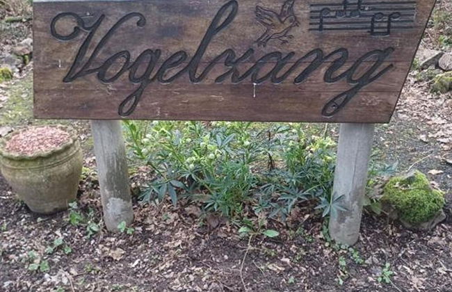 Chalet Vogelzang in the Ardennes - Foto 19