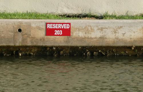 Fishermans Landing on The Bay- Las Marinas - Photo 30