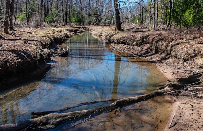 Camp Wondermore by Taylor Made Deep Creek - Foto 43