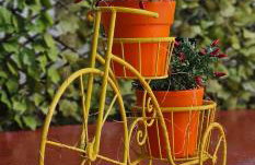 Happy Studio - Foto 32