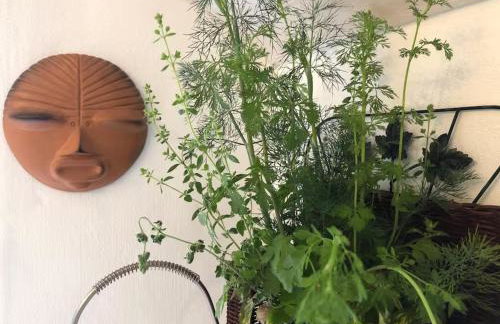 Little Linney - Sleeps 2 - Garden - Wifi - Parking - Photo 62