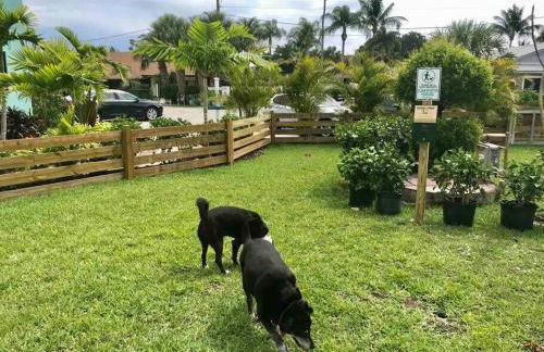 Sailfish Suites 3 - waterfront - Foto 29