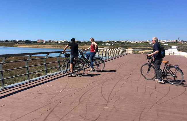 Faro Bike Tour - Photo 6