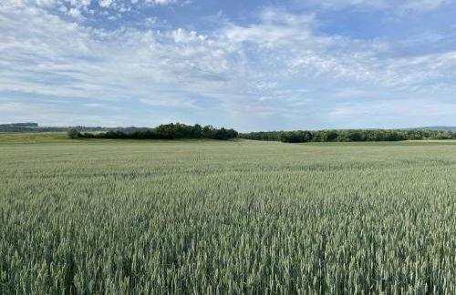 Elegant Family Home in Bouix - Foto 26