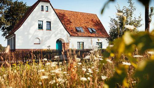 Stara Szkoła Browina - Foto 5