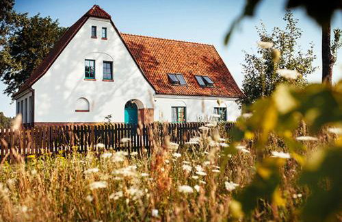 Stara Szkoła Browina - Foto 5