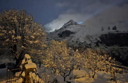 Ludogîte Graine de Jeux - Foto 9