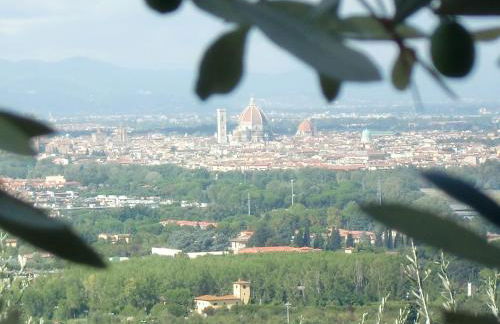 Il Palagetto - Photo 35