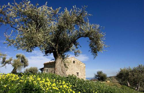 Casa Margaret - Foto 15