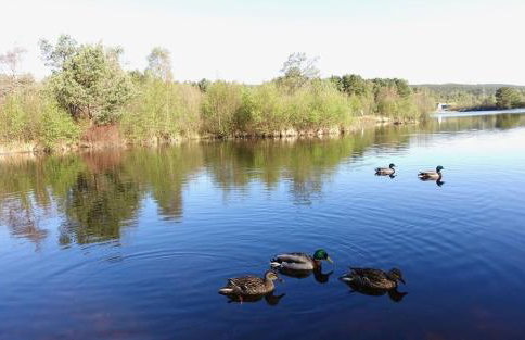 Loch Cottage - Foto 7