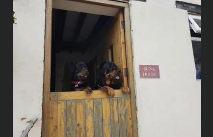 Cottage on Exmoor - Sleeps 8 & Parking - Photo 11