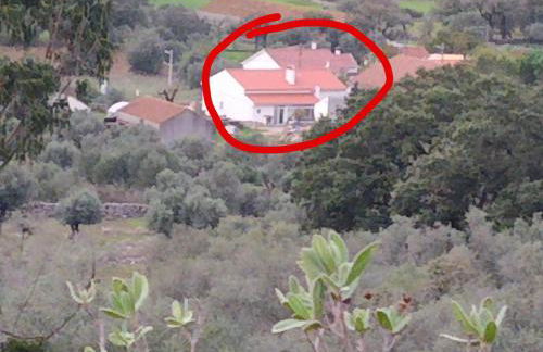 House with garden in Marinha da Mendiga - Foto 27