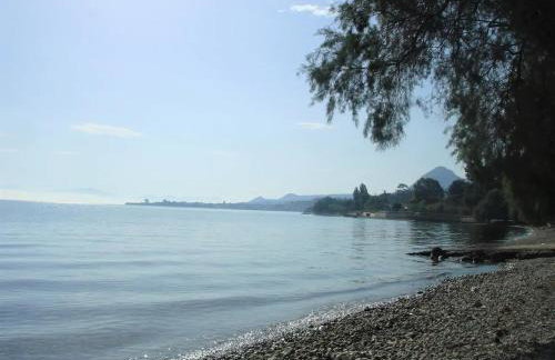 Σοφίτα Μαρτά - Foto 46