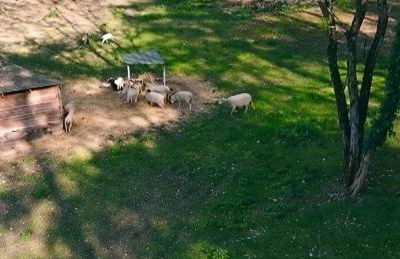 Les gites de Pétrocoriis - Boulazac Périgueux - Foto 24