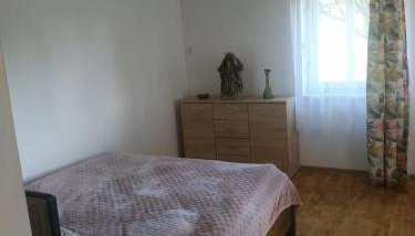 Ranczo pod lasem - Photo 4