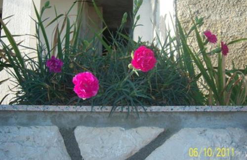 Apartments Marina - Photo 60