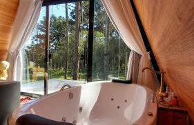 Chalé Araucárias Cambará do Sul - Foto 14