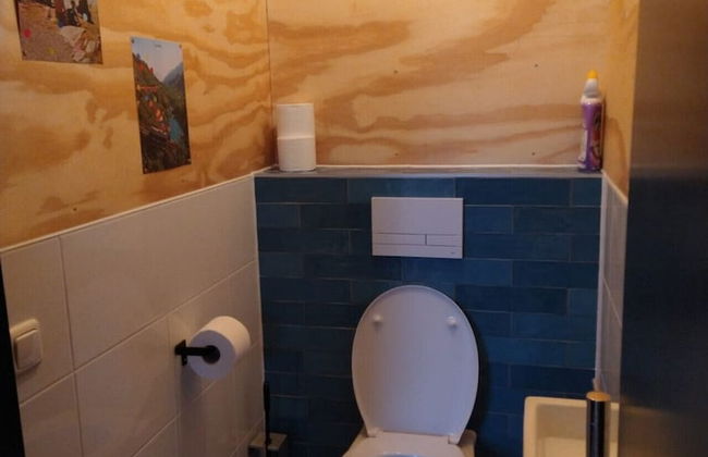 Swarm - 3 Waterlodges Naast Elkaar in Friesland - Foto 30